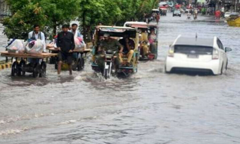 پی ڈی ایم اے