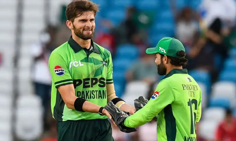 شاہین آفریدی