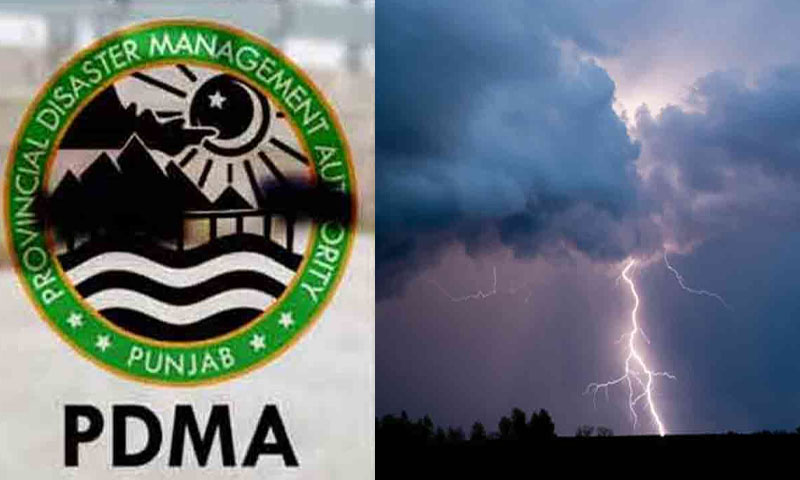 ڈی جی پی ڈی ایم اے