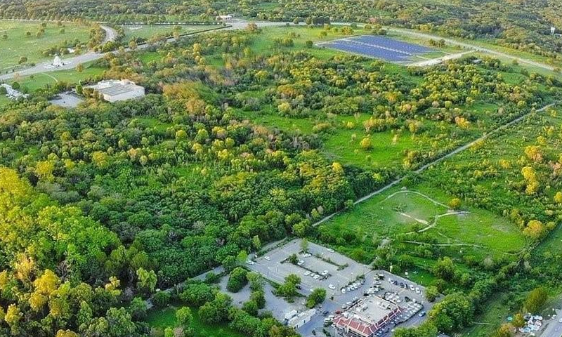 کرکٹ اسٹیڈیم