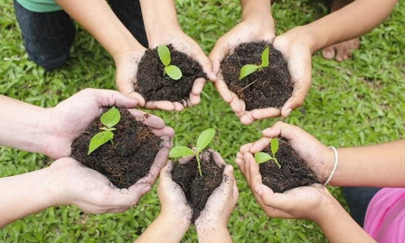 گرین اسکول سرٹیفکیشن پروگرام