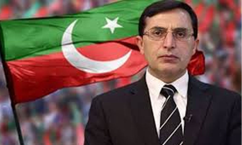 بیرسٹر گوہر