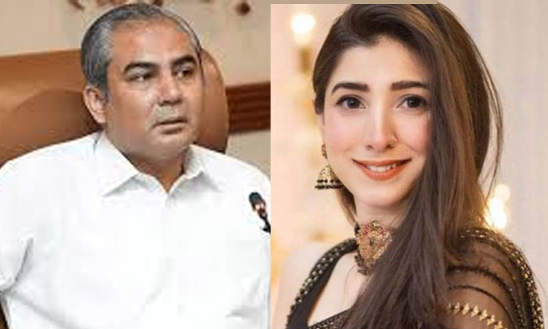 مریم نفیس