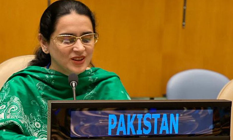 اقوام متحدہ میں پاکستانی قونصلرکا بھارتی الزامات کا بھرپور جواب