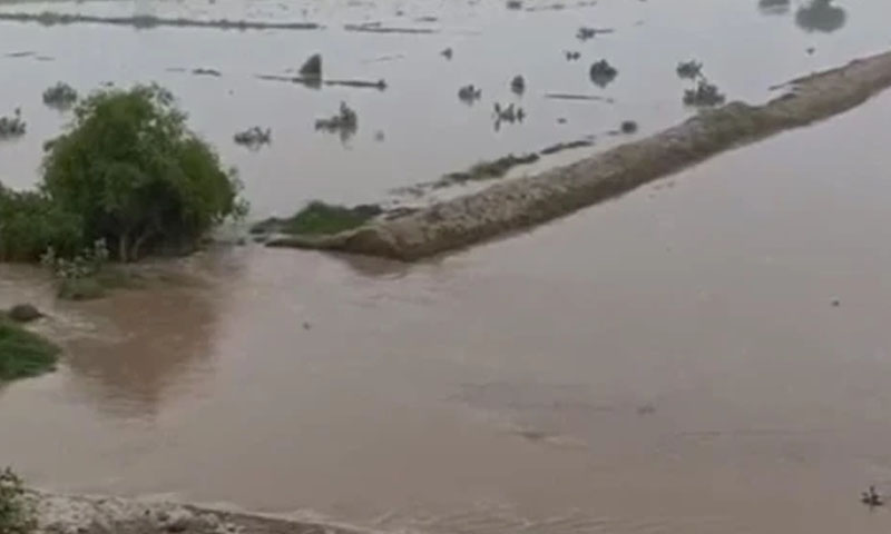 دریائے ستلج اور چناب میں اونچے درجے کا سیلاب