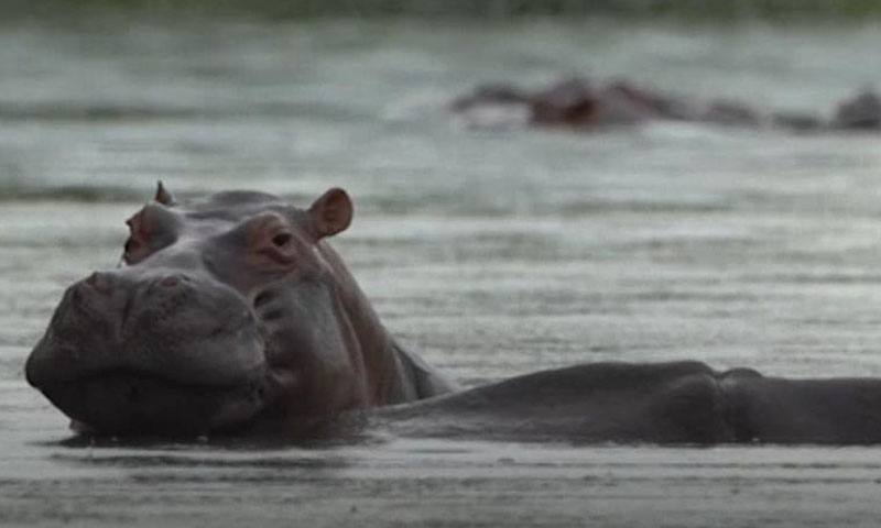 کشتی پر حملہ