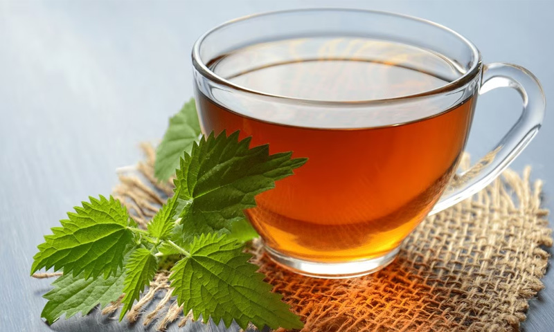 سبز چائے فوائد