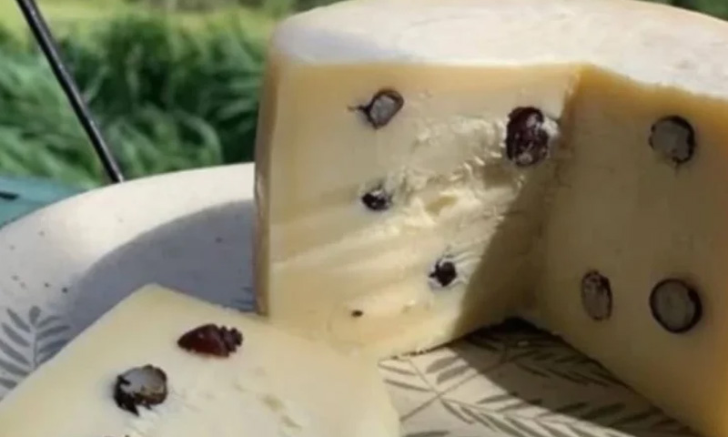 برازیل کی بھنی ہوئی چیونٹیوں سے بنے پنیر نے عالمی ایوارڈز جیت لئے