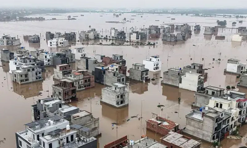 مالک گرفتار