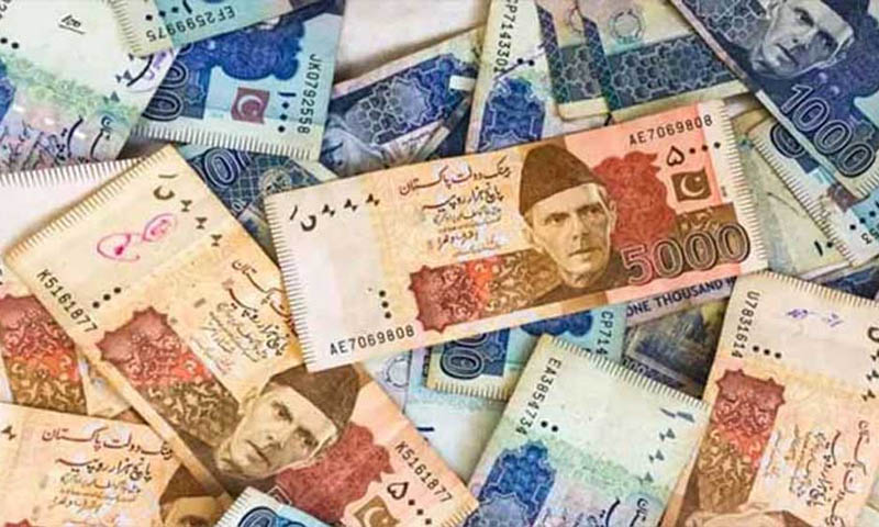 PAKISTANI CURRENCY