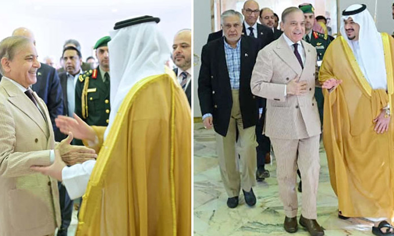 وزیراعظم شہباز شریف