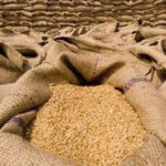 بلوچستان میں گندم کی غیر قانونی ترسیل پر بڑا ایکشن، دفعہ 144 نافذ