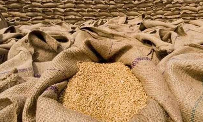 پنجاب حکومت