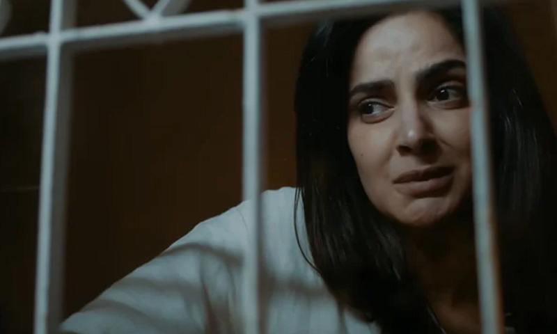 ڈرامہ کیس نمبر 9 کی کہانی نے سماج کے خوفناک رویے بے نقاب کر دیے