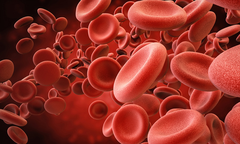 انسانی خون کے خلیات پیدا کرنے کا نیا طریقہ دریافت