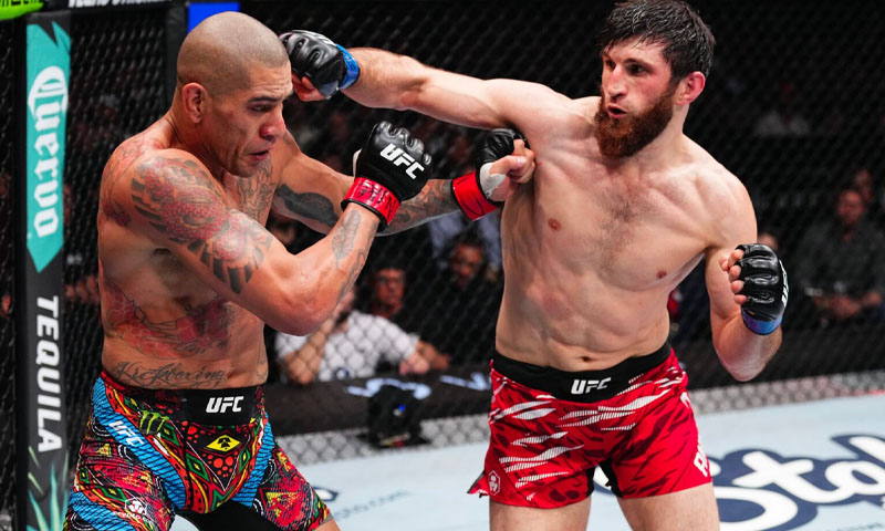 Ankalaev vs Pereira 2