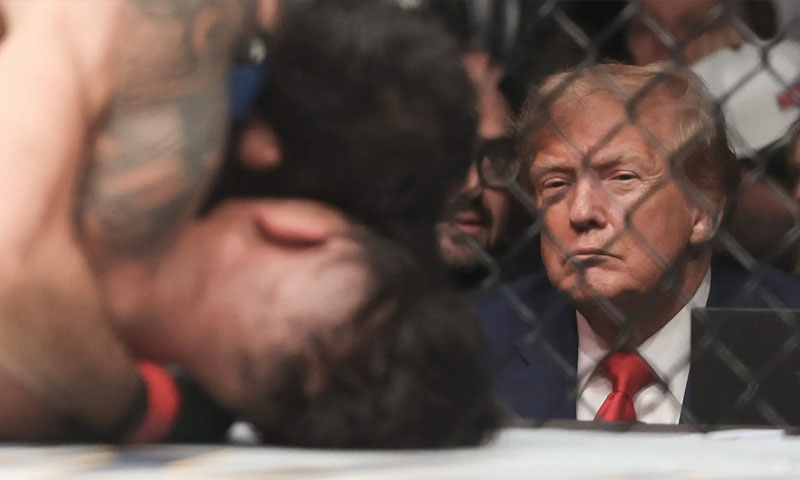 trump tp arrange UFC fight at white house