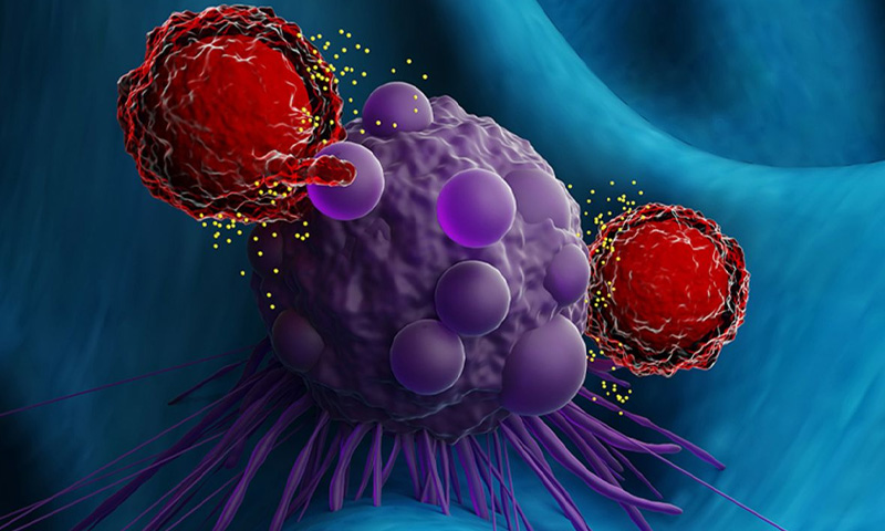 ٹیومر کے خلاف لڑنے کے لیے نیا علاج دریافت، نئی تحقیق