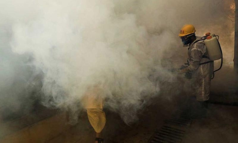 ڈینگی کیسز میں نمایاں کمی، انسداد مہم تیز