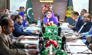 وزیر اعلیٰ پنجاب، صوبائی وزرا کا رضاکارانہ 2 ماہ کی تنخواہ نہ لینے کا فیصلہ