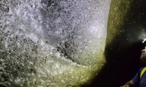 دنیا کا سب سے بڑا مکڑی کا جالا، 111 ہزار مکڑیاں، حیران کن تصاویر دیکھیں