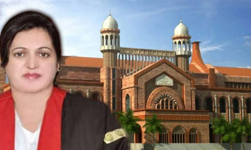 لاہور ہائیکورٹ کی سخت برہمی، وکلا کے چیمبرز سیل کرنے پر چیف جسٹس عالیہ نیلم کا نوٹس Lahore High Court