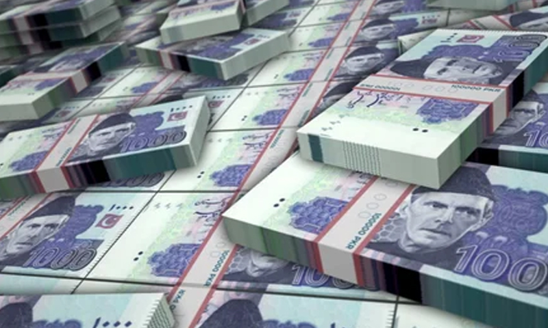 govt loan