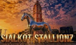 سیالکوٹ اسٹالینز کا نام تبدیل کرکے ملتان سلطانز رکھ دیا گیا