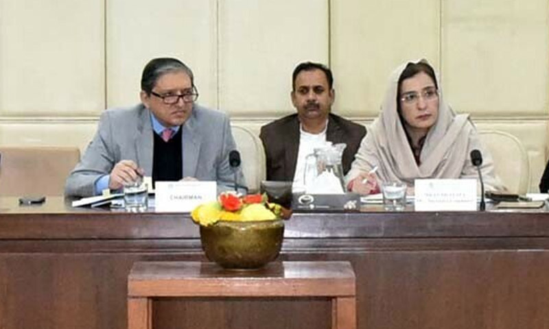 پیٹرولیم مصنوعات مزید مہنگی ہونے کا خدشہ، سینیٹ کمیٹی کو بریفنگ