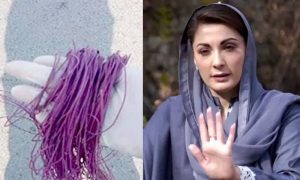 وزیراعلیٰ پنجاب مریم نواز کا لاہور میں ڈور پھرنے سے پولیس اہلکار کے زخمی ہونے پر نوٹس