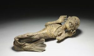 جل پری کی باقیات کی دریافت، ماہرین میں بحث چھڑ گئی