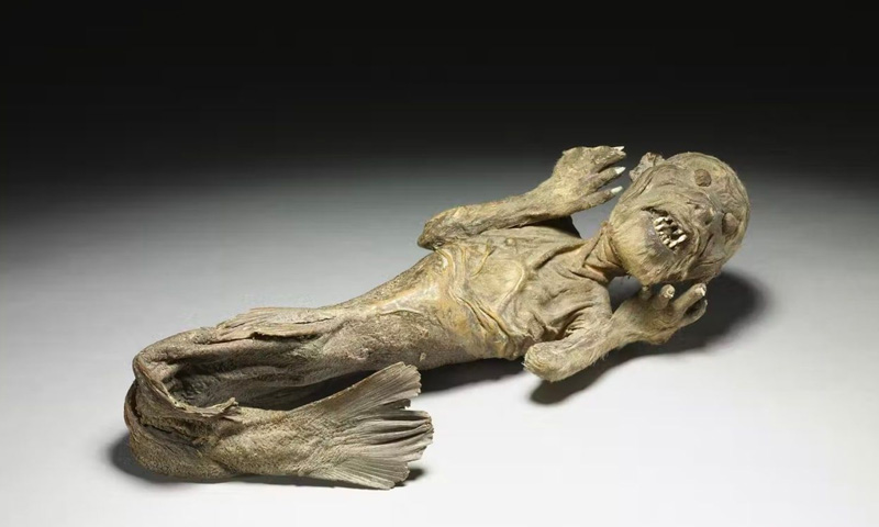 جل پری کی باقیات کی دریافت، ماہرین میں بحث چھڑ گئی