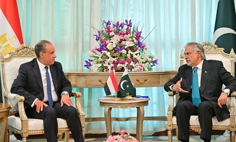 اسحق ڈار سے مصر اور ترکیے کے وزرائے خارجہ کی ملاقاتیں