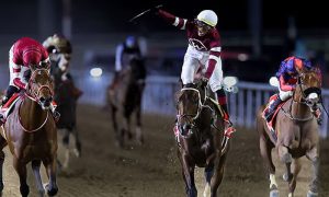 دبئی ، عالمی گھڑ سواری کا مقابلہ جیتنے والے کو 12 ملین ڈالر کا انعام