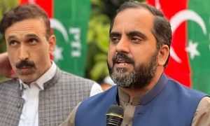 سینیٹ کی خالی نشست کیلئے پی ٹی آئی نے عرفان سلیم کو امیدوار نامزد کر دیا