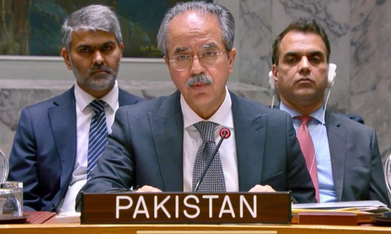 ویٹو یا تو ختم کیا جائے یا اس کے استعمال کو محدود کیا جائے، پاکستان