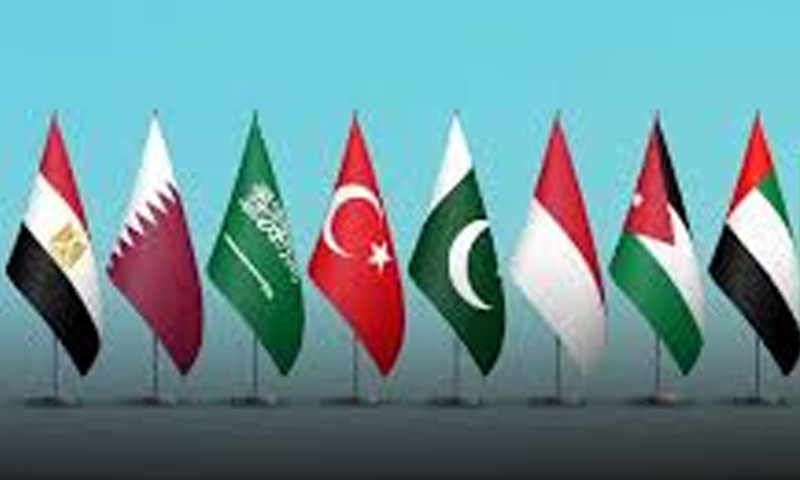 آٹھ مسلم ممالک کے وزرائےخارجہ کا فلسطینی قیدیوں کے خلاف اسرائیلی قانون پر سخت ردعمل