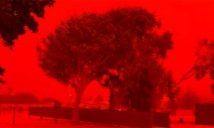 آسٹریلیا میں خوفناک منظر، طوفان سے قبل آسمان کا رنگ حیران کن طور پر تبدیل