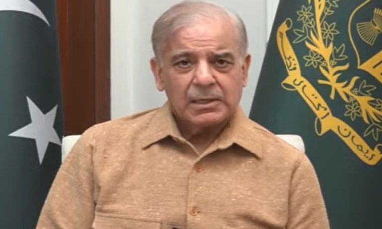 پیٹرولیم سبسڈی پر عملدرآمد تیز، مشکل کی اس گھڑی میں کسی صورت عوام کو اکیلا نہیں چھوڑیں گے، وزیراعظم