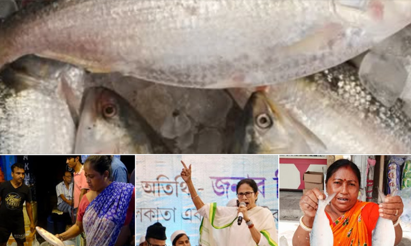 مغربی بنگال کے انتخابات ، مچھلی باورچی خانے سے نکل کر انتخابی مہم تک پہنچ گئی