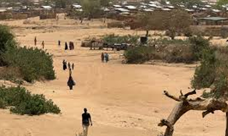 چاڈ میں کنویں کے پانی پر تنازع ، 42 افراد ہلاک ، کئی دیہات نذر آتش