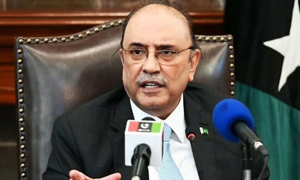 ہم سب مل کر اسٹیبلشمنٹ کے ہاتھ مضبوط کریں گے، آصف زرداری