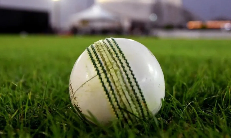 cricket