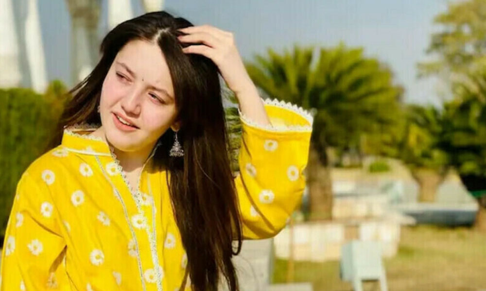 ٹک ٹاکر ثنا یوسف قتل کیس کی سماعت مکمل، فیصلہ آج سنایا جائے گا