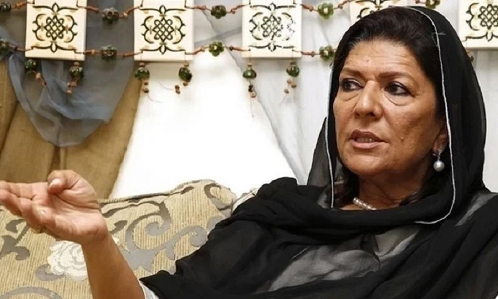 بیرسٹر گوہر اور سہیل آفریدی نے بغیر بتائے محسن نقوی سے ملاقات کی ، علیمہ خان