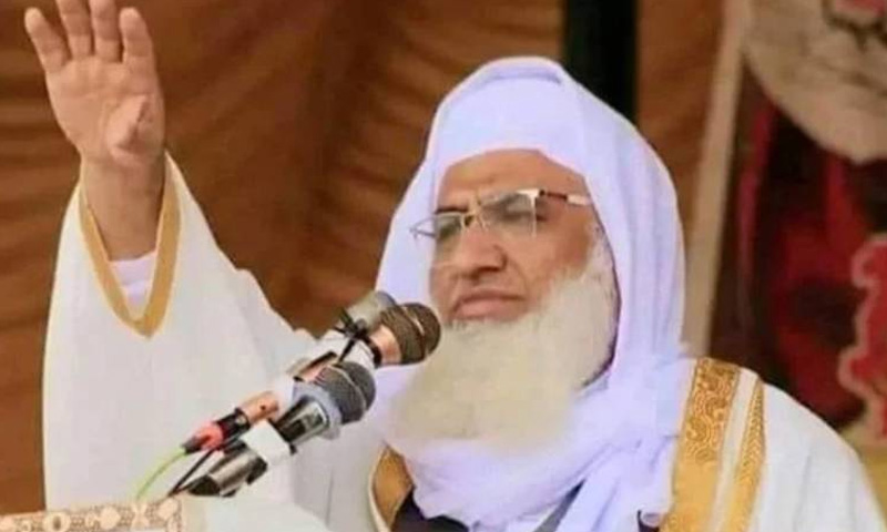 حملہ آوروں نے گھر اور مدرسے کے درمیان قبرستان کے قریب مولانا ادریس کی ریکی کی