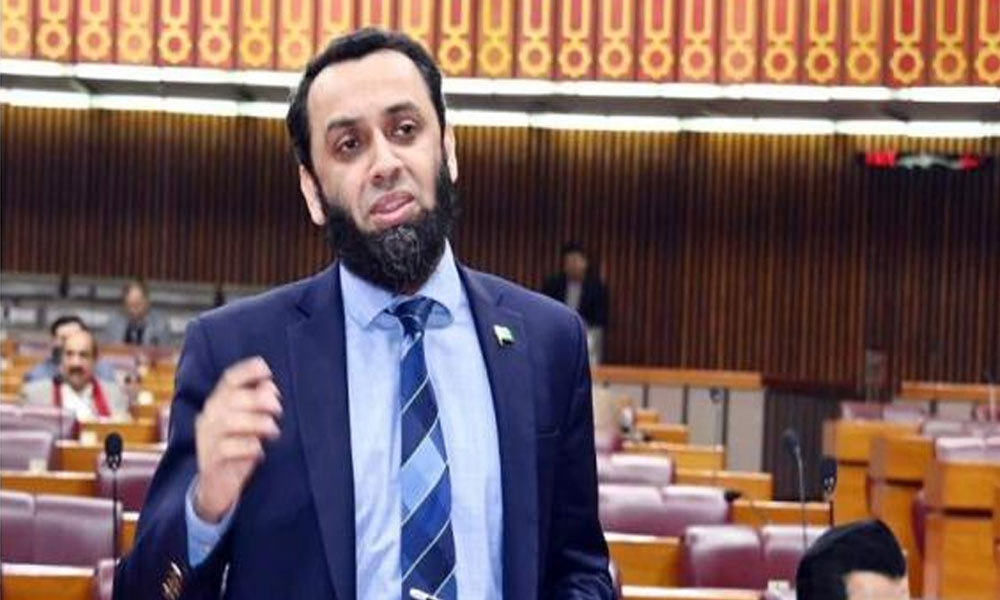 ملک میں معاشی استحکام آ چکا، بجٹ میں تنخواہ دار طبقے کو ریلیف دیا گیا، عطا تارڑ