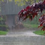 ملک میں بارشوں کے نئے سلسلے کی پیشگوئی سامنے آ گئی