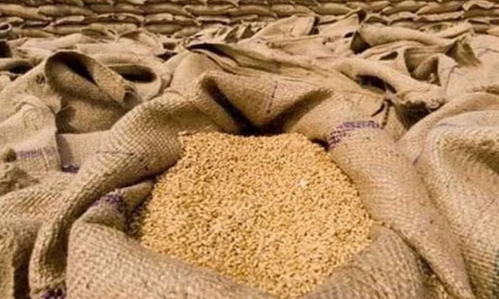 گندم فی من 3700 سے 4700 روپے تک فروخت ہو رہی ہے، س