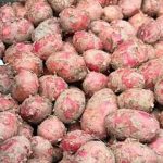روس نے پاکستانی آلو کے لئے منڈی دوبارہ کھول دی
